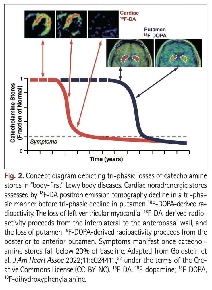 Fig. 2 from Preclinical Biomarkers - tri-phasic curves